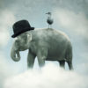 elephant bird 100x100 - 幅広いジャンルを扱う無料(フリー)のイラスト素材サイト・サービスまとめ