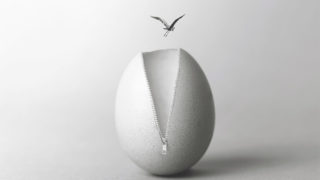 bird egg 320x180 - デザインとアートは違う。やってしまいがちな残念なデザインの共通点。
