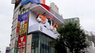 3d cat 320x180 - 3Dデジタル広告 (デジタルサイネージ) の様々なデザインやアート